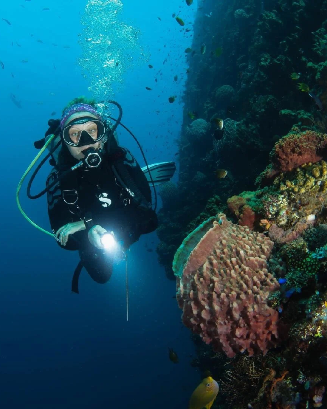 Koraalrif en duiker in Indonesië